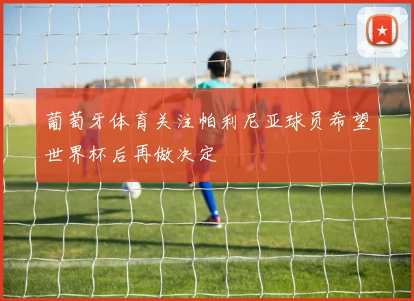 葡萄牙体育关注帕利尼亚球员希望世界杯后再做决定