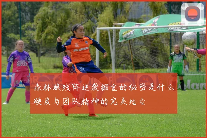 森林狼残阵逆袭掘金的秘密是什么硬度与团队精神的完美结合